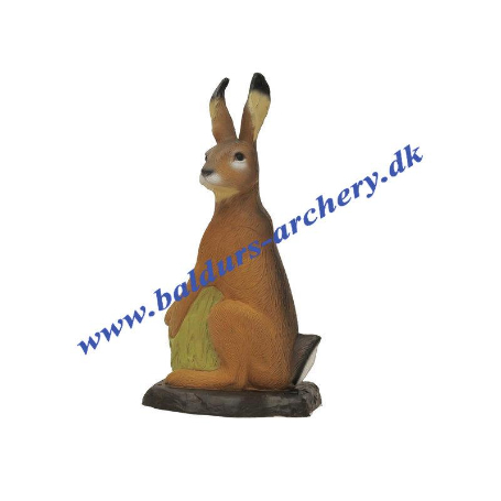 SRT Target 3D Hare