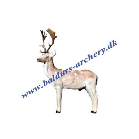 ELEVEN 3D FALLOW DEER W/INSERT