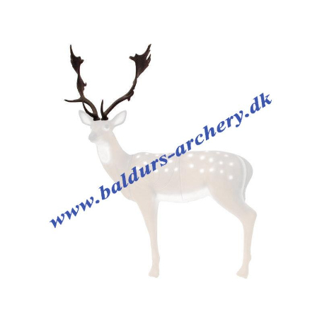 SRT Target 3D Fallow Deer Horns