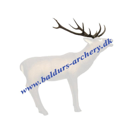 SRT Target 3D Elk Horns
