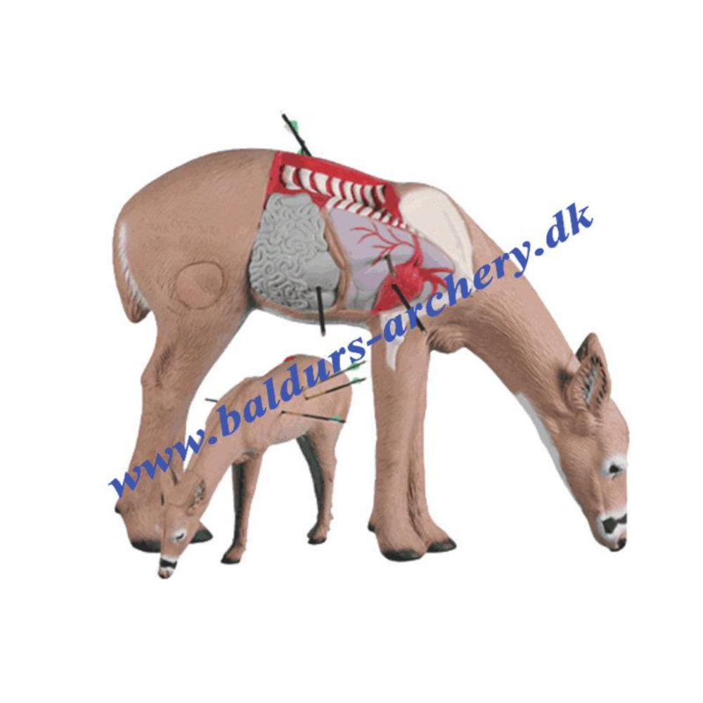 Rinehart Target 3D Anatomy Deer